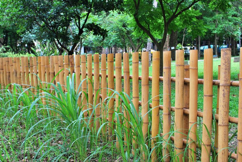 Natural Bamboo Fence